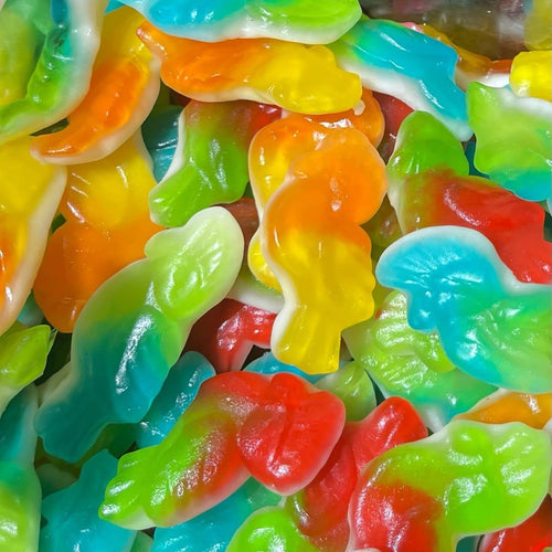 Burmar Papegaaien Halal Fruitgums 2 kg